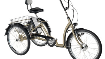 Electric Bikes for Disabled Adults
