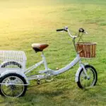 Top 3 Wheel Electric Bike for Adults